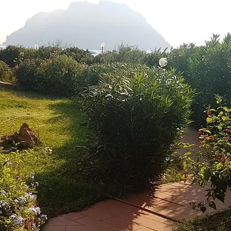 Sa Marina- 200 Metri Dal Mare Vista Su Tavolara!!! * كوستا كورالينا