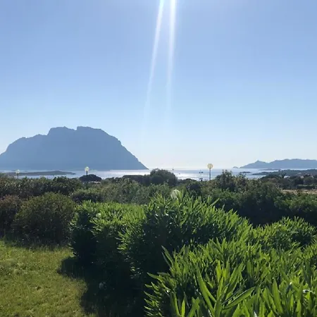 Sa Marina- 200 Metri Dal Mare Vista Su Tavolara!!! Villa Costa Corallina