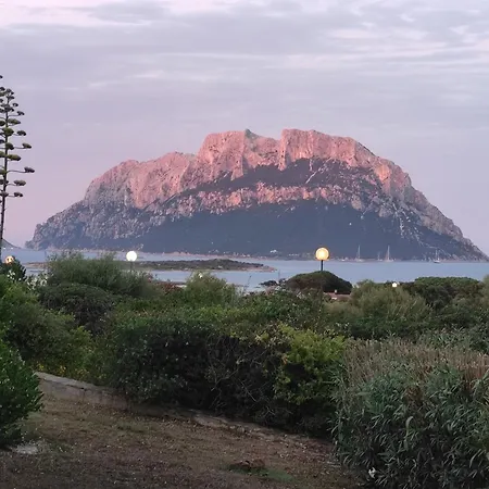 فيلة Sa Marina- 200 Metri Dal Mare Vista Su Tavolara!!! *