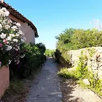 Sa Marina- 200 Metri Dal Mare Vista Su Tavolara!!! Villa Costa Corallina