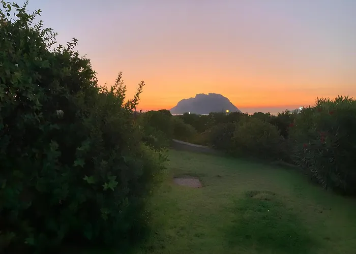 Villa Sa Marina- 200 Metri Dal Mare Vista Su Tavolara!!!